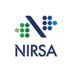 Negocios Industriales Real NIRSA S.A. Logo